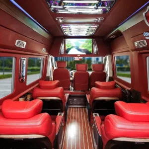 Alternative view of HYUNDAI SOLATI LIMOUSINE 10 CHỖ